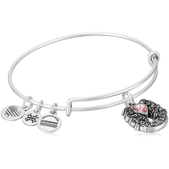 Alex and Ani Fortune's Favor Rafaelian Silver Bangle Bracelet