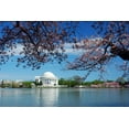 thumbnail image 2 of Cherry Blossom Washington Dc Wall Mural by Wallmonkeys Peel and Stick Graphic (18 in W x 12 in H) WM65216, 2 of 4