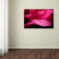 thumbnail image 3 of Trademark Fine Art "Peony Drops" Canvas Art by Philippe Sainte-Laudy, 3 of 3