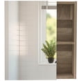 thumbnail image 4 of Tuhome Labelle Medicine Cabinet with Mirror- Mirrored - Engineered Wood, 4 of 8
