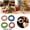 White, variant on BVCL Natural Nesting Parrot With For Foraging And Mental Stimulation Interactive Bird Enrichment Activity
