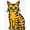 Orange, Pattern 1, variant on ODIKA 2'x3' Machine Washable Non-Slip Area Rug, Pop Art Kitten Head with Bold Stripes and Vibrant Contrasting Accents High Traffic Rug, Yellow, 727057