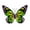 Green, variant on JoyMoreHome Metal Butterfly Wall Outdoor and Indoor Decor,Metal Butterflies Wall Art Sculpture Hanging Decorations for Backyard Patio Fence Garden Home, Gift for Mom and Friend