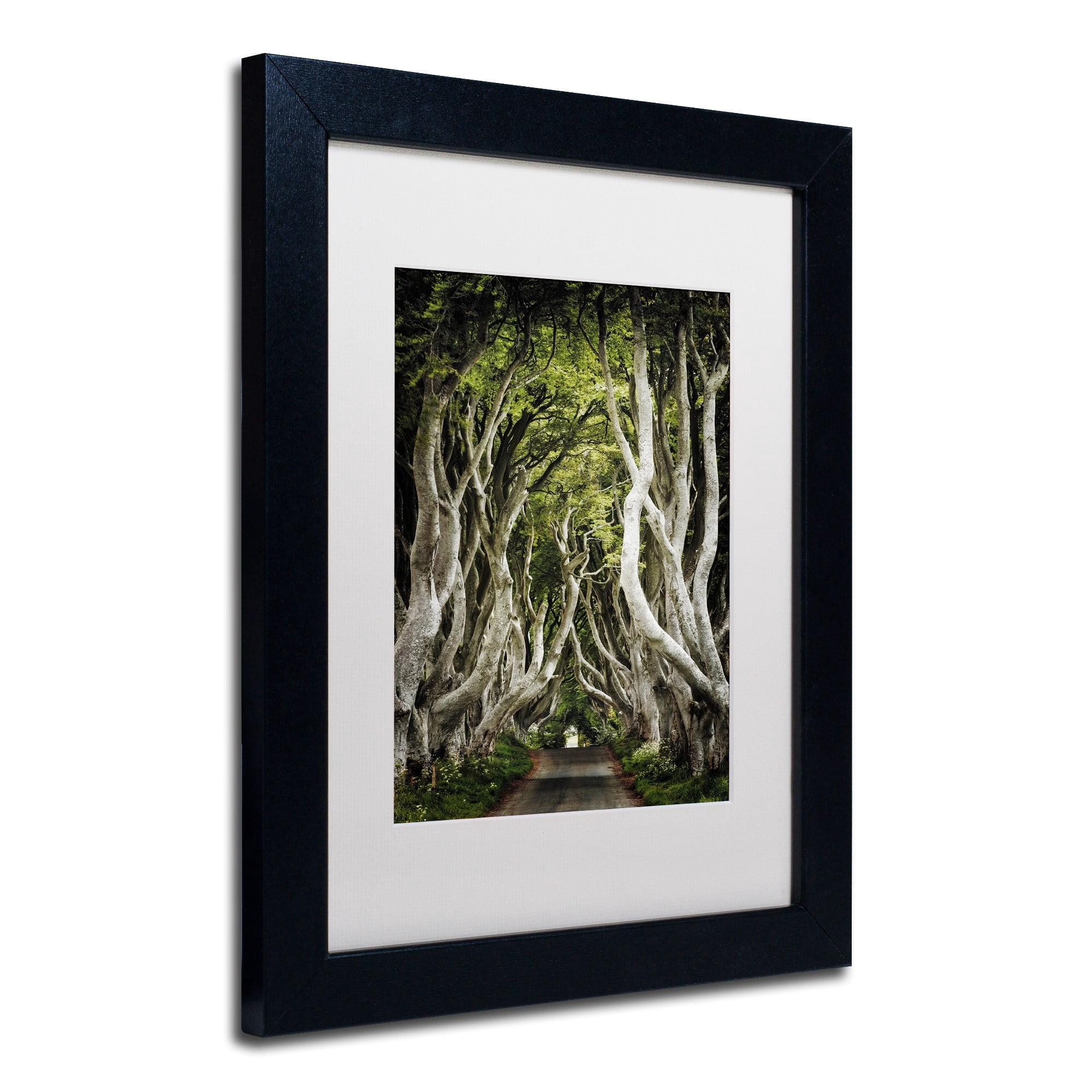 Trademark Fine Art "Romantic Avenue" Canvas Art by Philippe Sainte-Laudy, White Matte, Black Frame