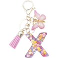 thumbnail image 1 of ORUYROP Initials Letter Keychain Pink Tassel Butterfly Pendant for Women Girls Wallet Backpack Purses, 1 of 3