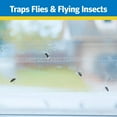 thumbnail image 5 of Raid Transparent Window Fly Trap, 6 Pk, Over 100 Flies Per Trap, Indoor Sticky Fly Strips for Flying Insects, No Insecticides, Mess-Free Bug Catcher for Kitchen & Bedroom Windows, Peel & Stick, 5 of 5