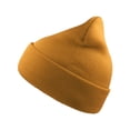 thumbnail image 1 of Atlantis  Adult Wind Recycled Cuffed Beanie, 1 of 3