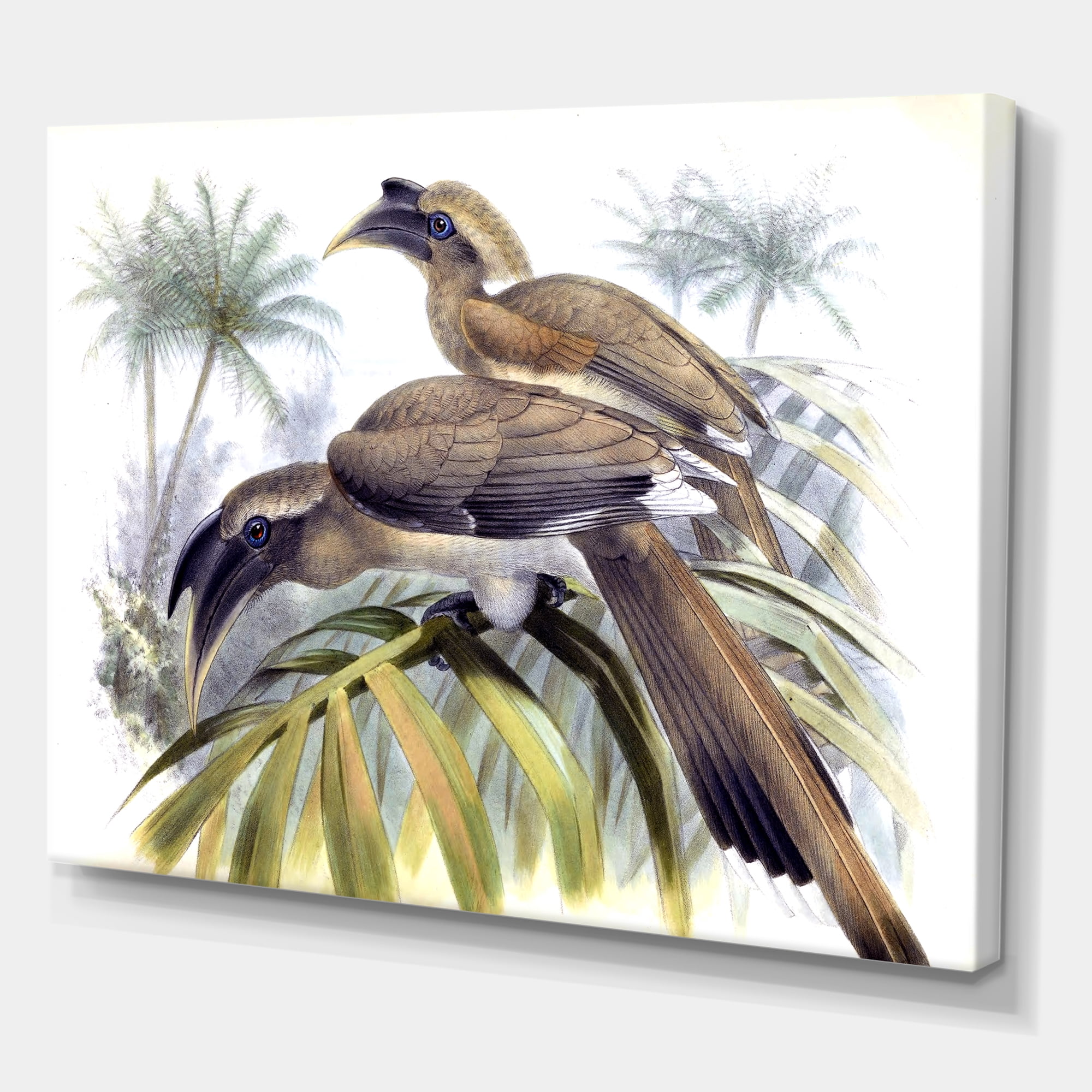 Designart ' Ancient Australian Birds XIV ' Traditional Canvas Wall Art Print