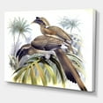 thumbnail image 3 of Designart ' Ancient Australian Birds XIV ' Traditional Canvas Wall Art Print, 3 of 4