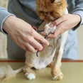 thumbnail image 5 of Cat Dog Nail Clipper For Pet Nail Scissors Convenient And Hygienic Grooming Tool For Pet Small Animals, 5 of 5