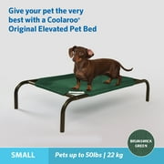The Original Coolaroo Elevated Pet Dog Bed, Indoor & Outdoor Use, Durable, Cooling, Brunswick Green, Small, 34.75 L x 22.75 W x 8 H