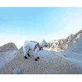 thumbnail image 2 of Dog Bootpaw Protector, Non-Slip Dog Shoesthese Comfortable Soft Sole Dog Boots, 2 of 5