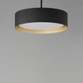 thumbnail image 2 of ET2 Lighting E51013-BKGLD Echo - 25W 1 LED Pendant-10.75 Inches Tall and 16 Inches Wide Black/Gold, 2 of 5