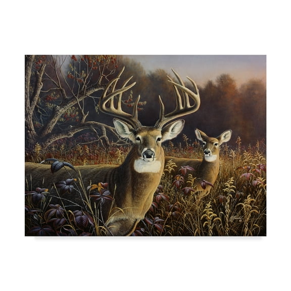 Trademark Fine Art 'Deer' Canvas Art by Wilhelm Goebel