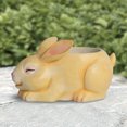 thumbnail image 4 of Bonitos adornos de maceta de animales, macetas de resina para suculentas, decoración de jardín para el hogar (C) Libre de BPA, 4 of 8