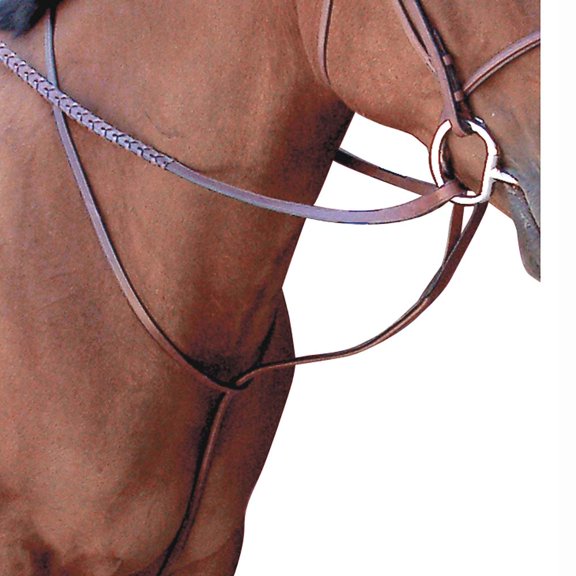 Cob Passport Horse Noseband Square Raised Standing Martingale Mahogany