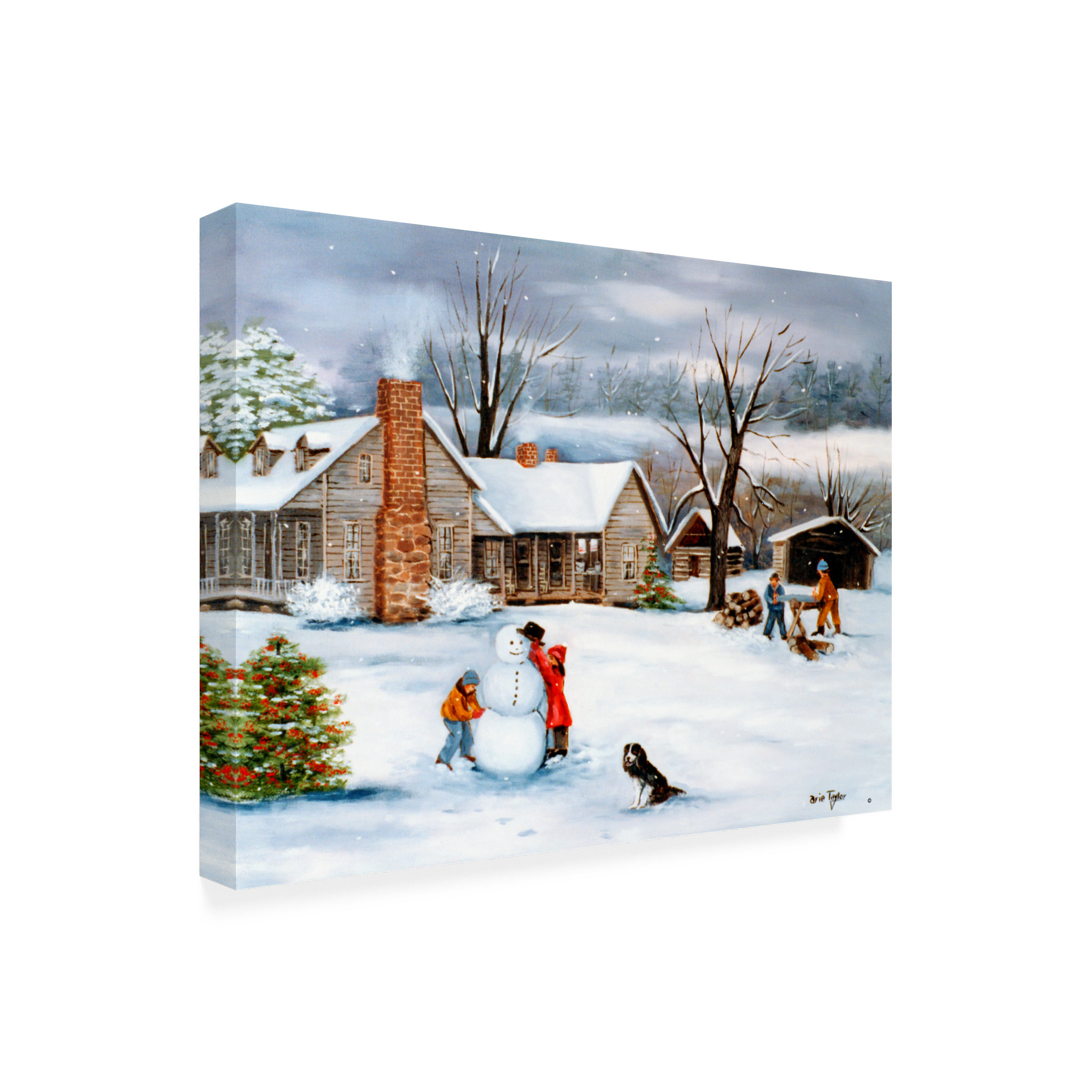 Trademark Fine Art 'The Snowman' Canvas Art by Arie Reinhardt Taylor