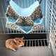 thumbnail image 2 of Hamaca Para Hámster, Cama Para Dormir, Cama Colgante Para Mascotas, Planeadores De Azúcar Cálidos Para Hámsteres ANGGREK NO, 2 of 8