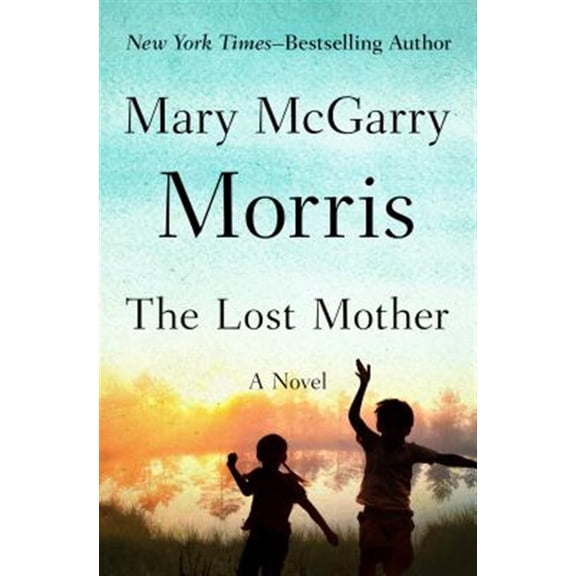 Pre-Owned The Lost Mother : A Novel (Paperback)