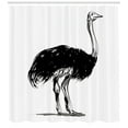 thumbnail image 3 of Ostrich Shower Curtain, Sketch of Camel Bird Wild Feathered Creature in African Desert Boho Print, Fabric Bathroom Set with Hooks, 69W X 84L Inches Extra Long, Black White Grey, by Ambesonne, 3 of 3