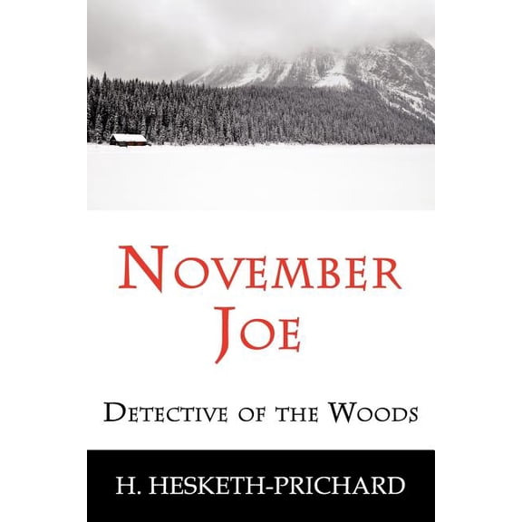 November Joe: Detective of the Woods (Mystery Classic), (Paperback)
