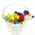 thumbnail image 1 of OHOIOLLA 5Pack Dried Mini Flower Dried Star Daisy 47In, 1 of 8