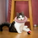 thumbnail image 4 of unbranded 1Ud Collar Antilamer Rosa Para Collar Recuperación En Material Resistente, 4 of 8