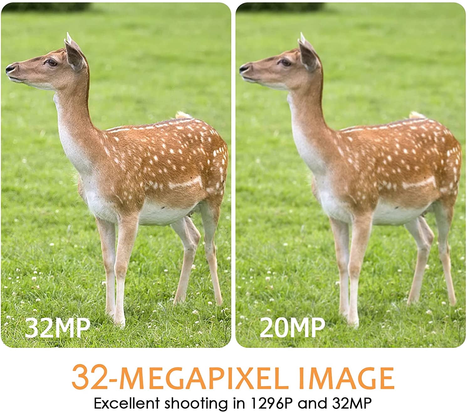 Bluetooth Wireless WiFi Game Trail Camera & Wildlife Deer Hunting Security Camera 32MP Picture 1296P Video Motion Activated Night Vision 100ft Black Flash Infrared 0.1s Trigger Speed IP66 Waterproof