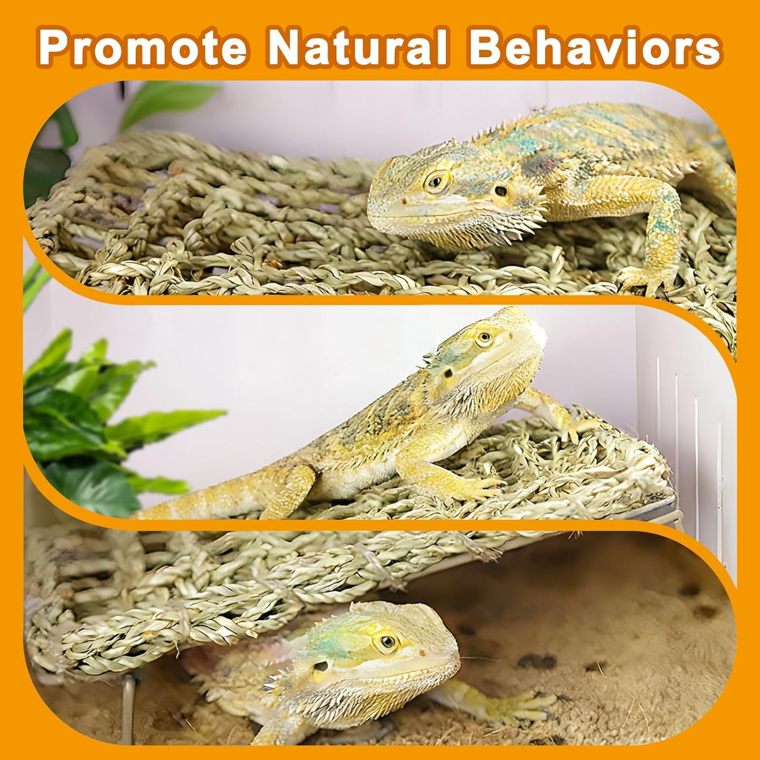 Bearded Dragon Hammock - Reptile Tank Accessories with Adjustable Metal Legs - Natural Seagrass Basking Platform Bed Habitat