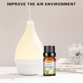 thumbnail image 3 of RYDCOT Hotel Diffuser Oil, Water Soluble Humidifier Car Aromatherapy Oil, Fragrance Oil for Ultrasonic and Waterless Diffusers and Crafting, 3 of 8