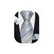 thumbnail image 1 of Corbata Barry.Wang rayada gris plata de seda, juego 150x8.5 cm, 1 of 5