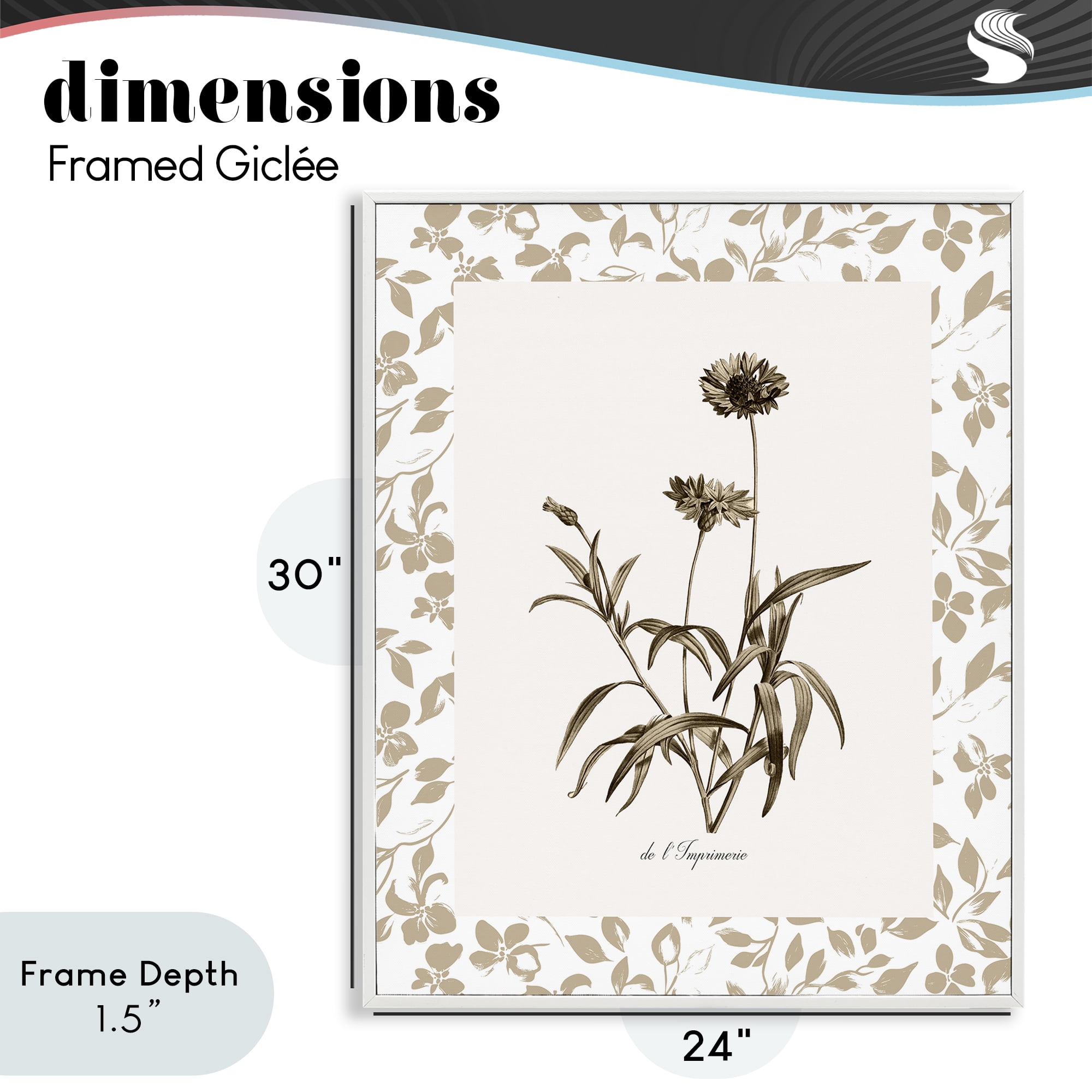 Stupell Industries Neutral Imperial Flowers White Framed Giclee Art, design by Kelly Donovan
