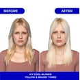 thumbnail image 4 of Naissant Professional Silver Grey - Cana Silver Mask Hair Color Intensifier and Tone Corrector., 4 of 8