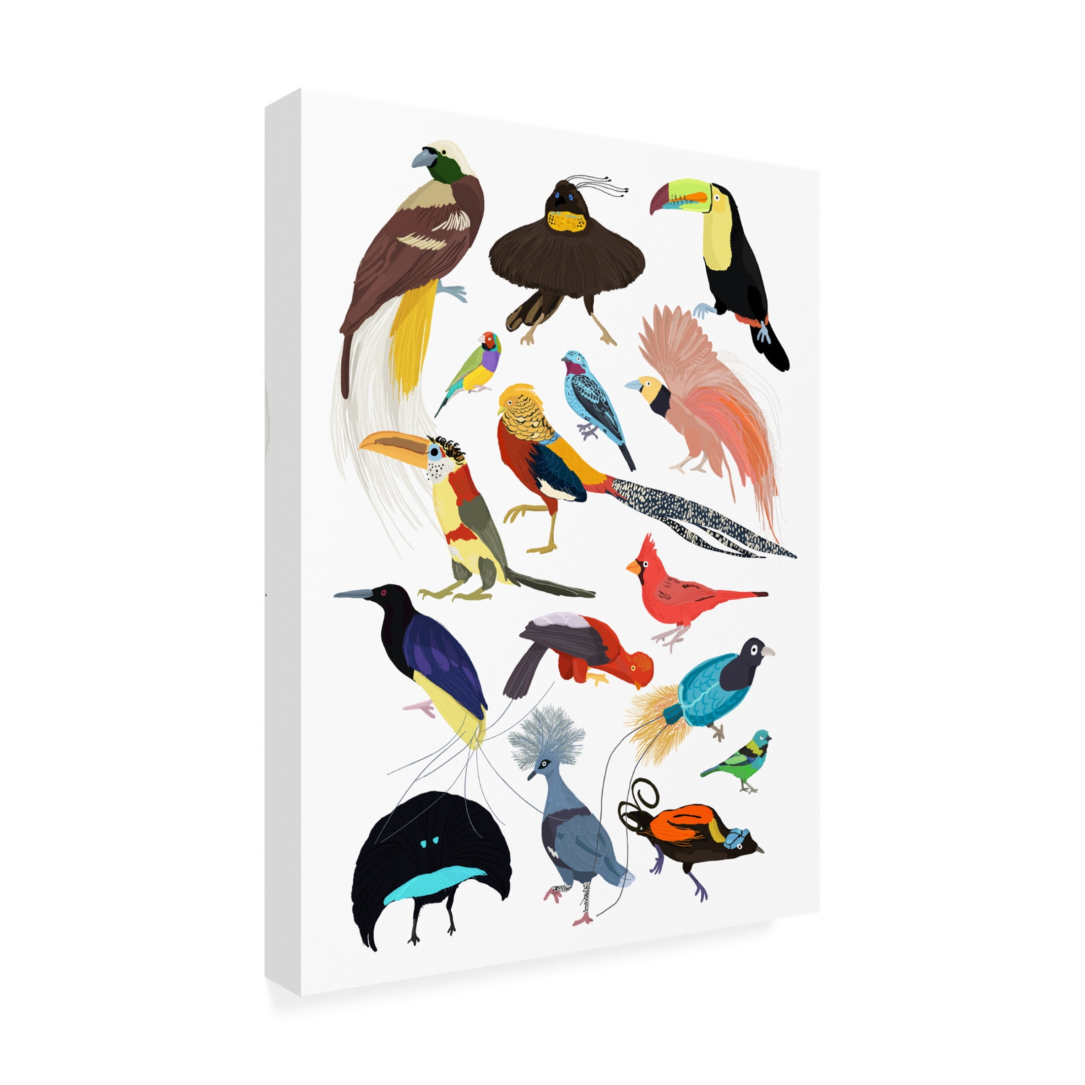Trademark Fine Art Hanna Melin Birds of Paradise Canvas Wall Art