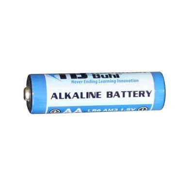 HamiltonBuhl AA Battery