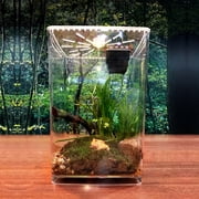 Acrylic Reptile Terrarium Box Gecko Lizard Spider Vivarium Pet Cage Tank Durable