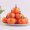 8Pcs-Orange, variant on HomeDM Artificial Pumpkins Ornaments Halloween Decorative Pumpkins Fall Thanksgiving Tabletop Centerpiece Outdoor Indoor Kitchen Festival Decor