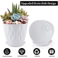 thumbnail image 3 of FOUKUS 6 inch Plastic Plant Pots: 5 Pack Indoor Planters with Drainage and Tray Outdoor Flower Pots, White, 3 of 6