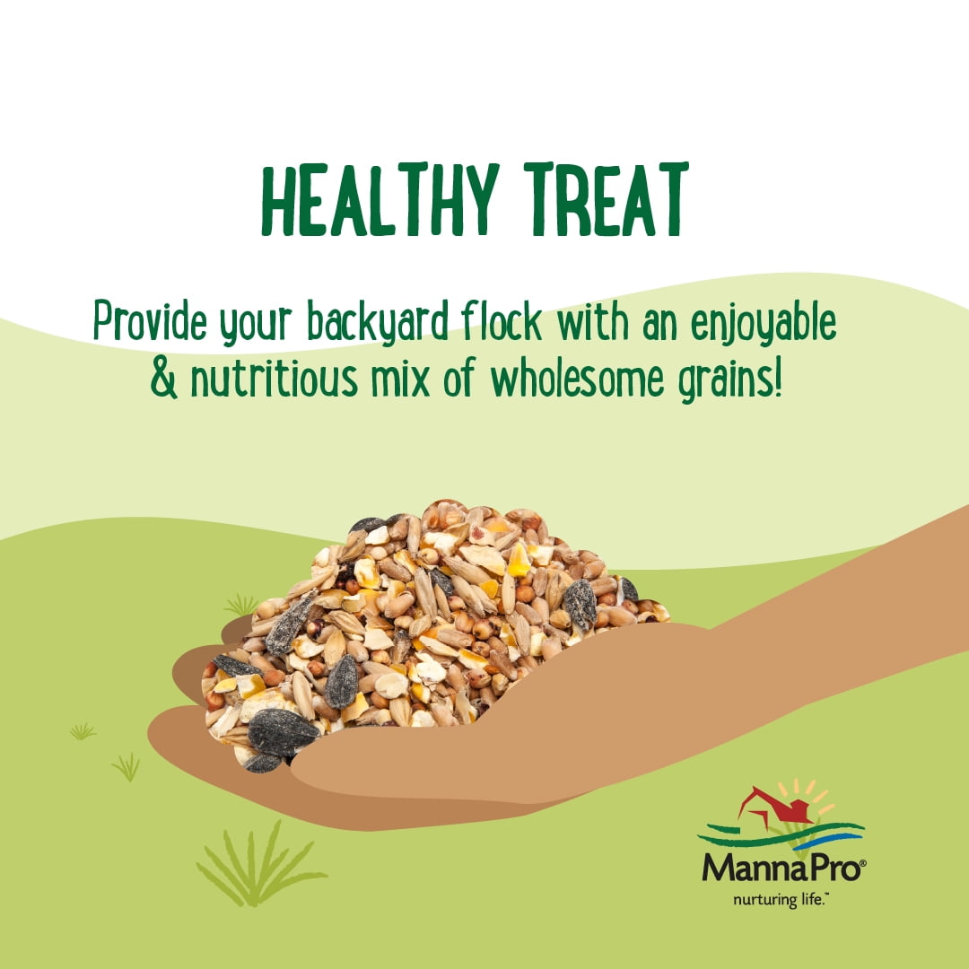 (3 pack) Manna Pro Farmhouse Favorites Chicken Treats - Sunflower Mix up - 1 Bag -10lb.