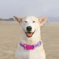 thumbnail image 7 of CHBORLESS 2 Pack Reflective Dog Collar Adjustable Nylon Pet Puppy Collar with Neoprene Padded,Pink Red,M, 7 of 7