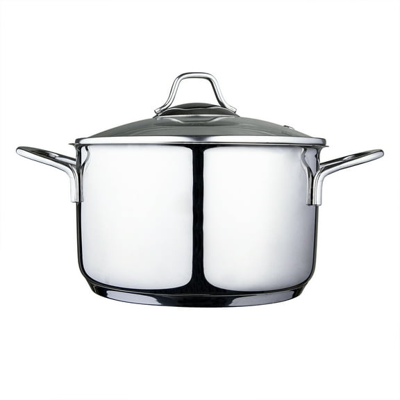 Serenk Modernist Stock Pot, 2.64 Quarts Cooking Pot, Stainless Steel Cookware