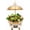 Gold 4.76qt, variant on Chafing Dishes,Round Stainless Steel Chafing Dish Buffet Set with Glass Lid and Holder,Buffet Warmers Sets Buffet Servers and Warmers Set Warming Tray for Parties ( 6.3QT), AK2-969