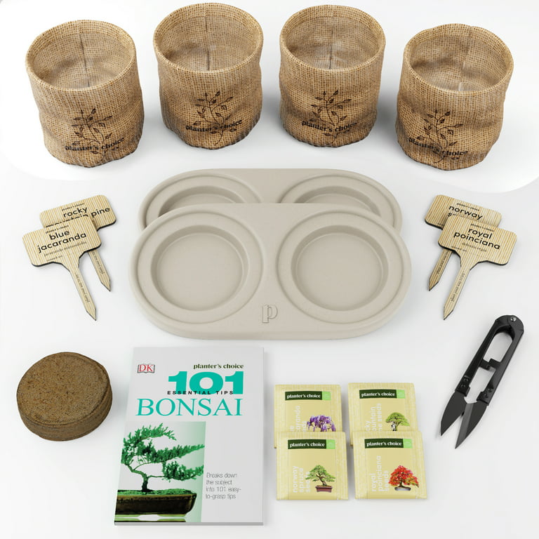 Bonsai Tree Seed Starter Kit - Complete Growing Kit - Grow 4 Bonsai Tree  Live Indoor Plant from Seed - Adult Crafts - Grow Your Own Live Plant -  Great