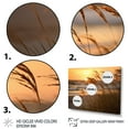thumbnail image 3 of Designart "Sunrise Breeze on the Beach IX" Nautical & Beach Wall Art Print, 3 of 5