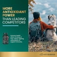 thumbnail image 2 of VetriScience Immunity Health Antioxidant Capsules for Dogs, Unflavored, 60 Count Bottle, 2 of 10