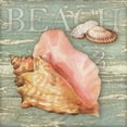 thumbnail image 2 of Paton, Julie 15x15 Gold Ornate Wood Framed with Double Matting Museum Art Print Titled - Beach Shells Conch, 2 of 4