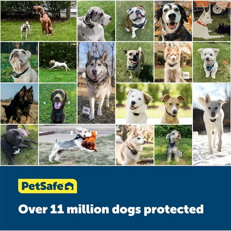 PetSafe YardMax Rechargeable In-Ground Fence for Dogs and Cats