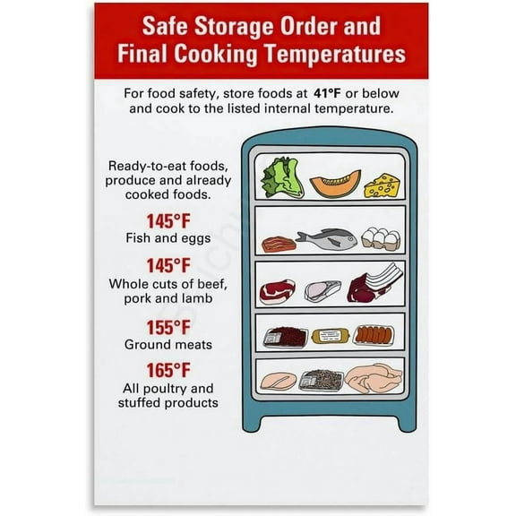 Refrigerator Food Storage Infographic Proper Storage Food Safety Guide Poster Wall Art Poster for Living Room Home Decor Aesthetic