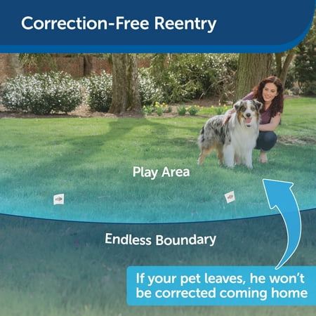 PetSafe YardMax Battery-Operated In-Ground Dog Fence, Easy DIY, Waterproof