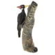 thumbnail image 5 of Figuras de animales de juguete,Figuras modelo pájaro carpintero,Juguete educativo ños,modelo de pájaro,Decoración del hogar regalo ños coleccionable Sunnimix Figuras de animales de juguete, 5 of 8